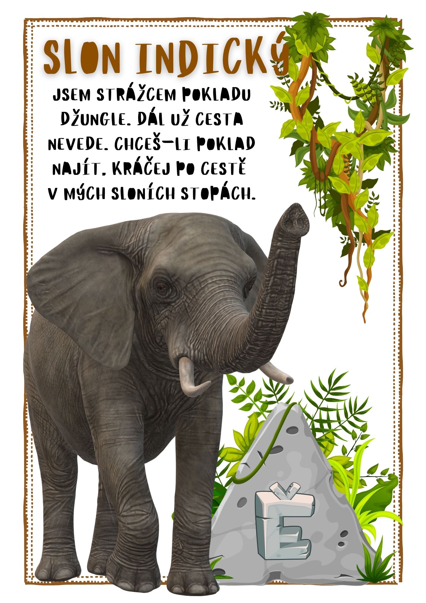 Džungle volá - Obrázek 6